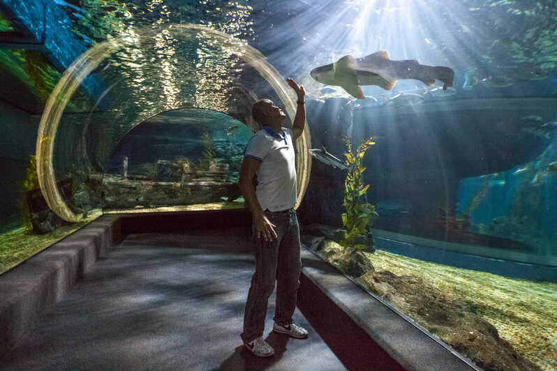 DENİZ YAŞAMI Bangkok Ocean World Giriş Bilet